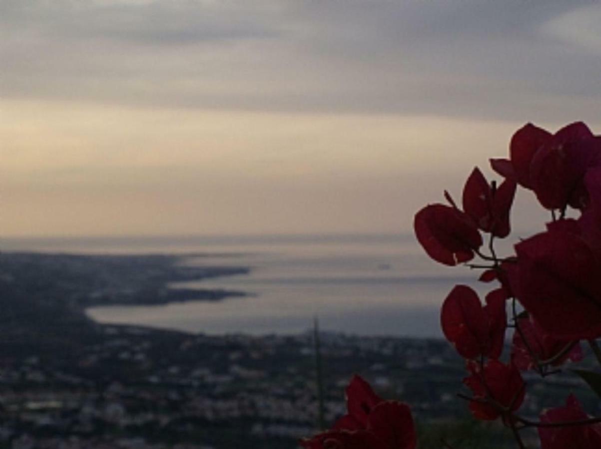 Aphrodite * Peyia